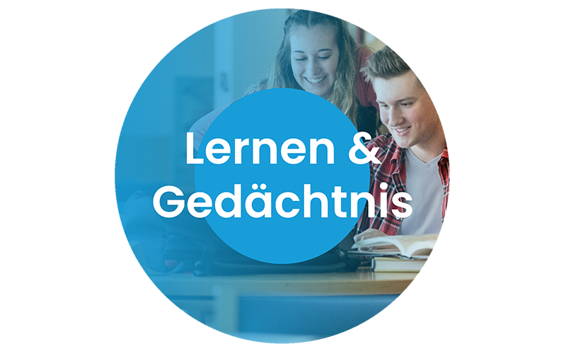 Lernen + Gedächtnis Header Anwendung