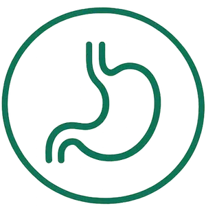 Icon Verdauung